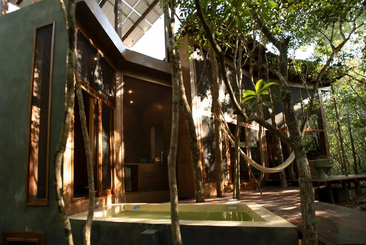 Ojo De Arbol, Boutique Cabin In The Real Jungle تولوم فيلة