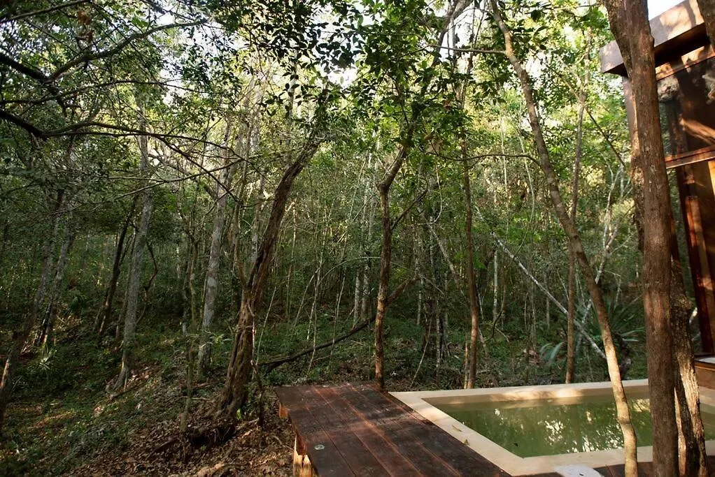 Ojo De Arbol, Boutique Cabin In The Real Jungle تولوم المكسيك