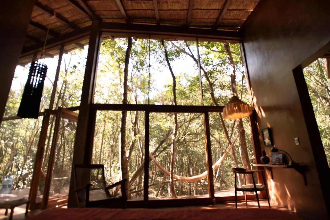 فيلة Ojo De Arbol, Boutique Cabin In The Real Jungle تولوم المكسيك