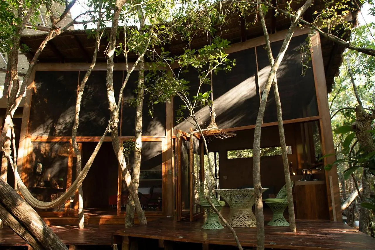 Ojo De Arbol, Boutique Cabin In The Real Jungle تولوم