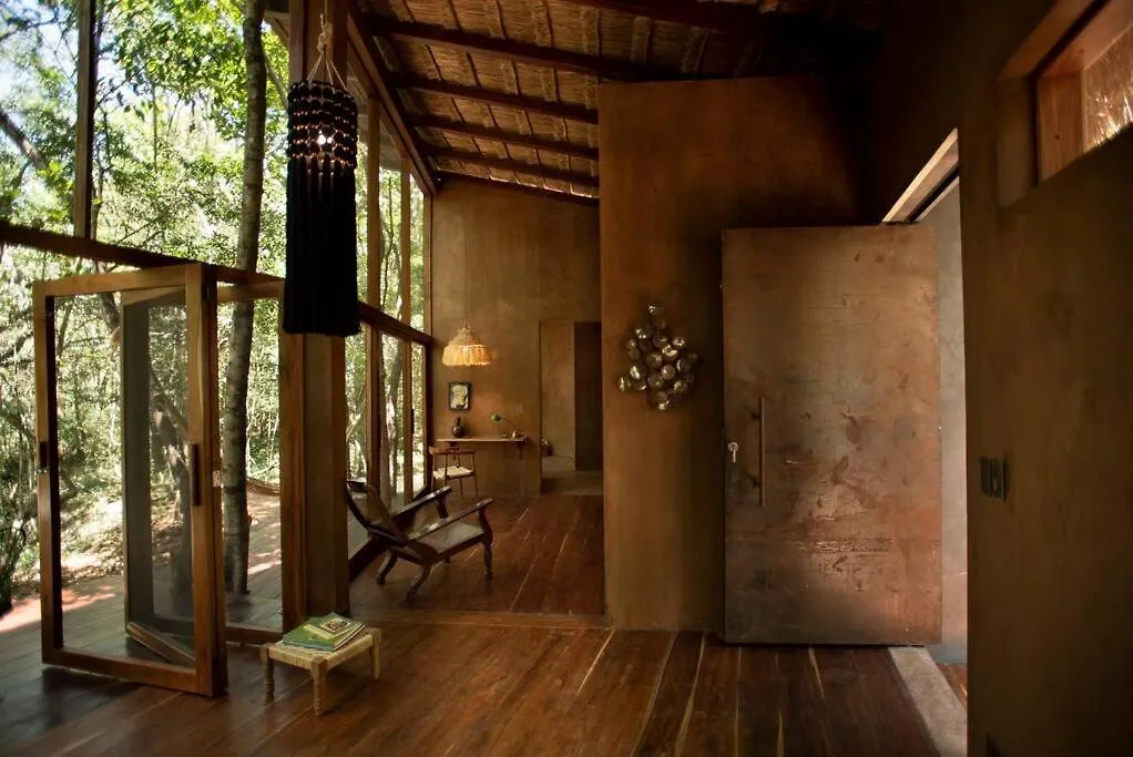 Ojo De Arbol, Boutique Cabin In The Real Jungle تولوم فيلة