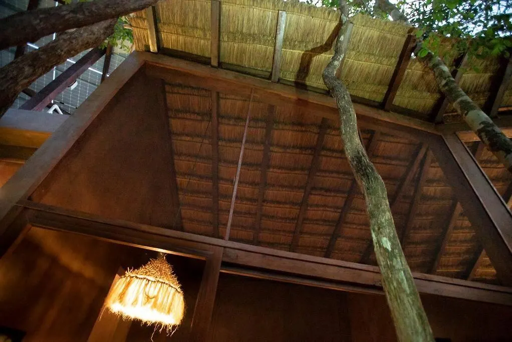 Ojo De Arbol, Boutique Cabin In The Real Jungle تولوم فيلة