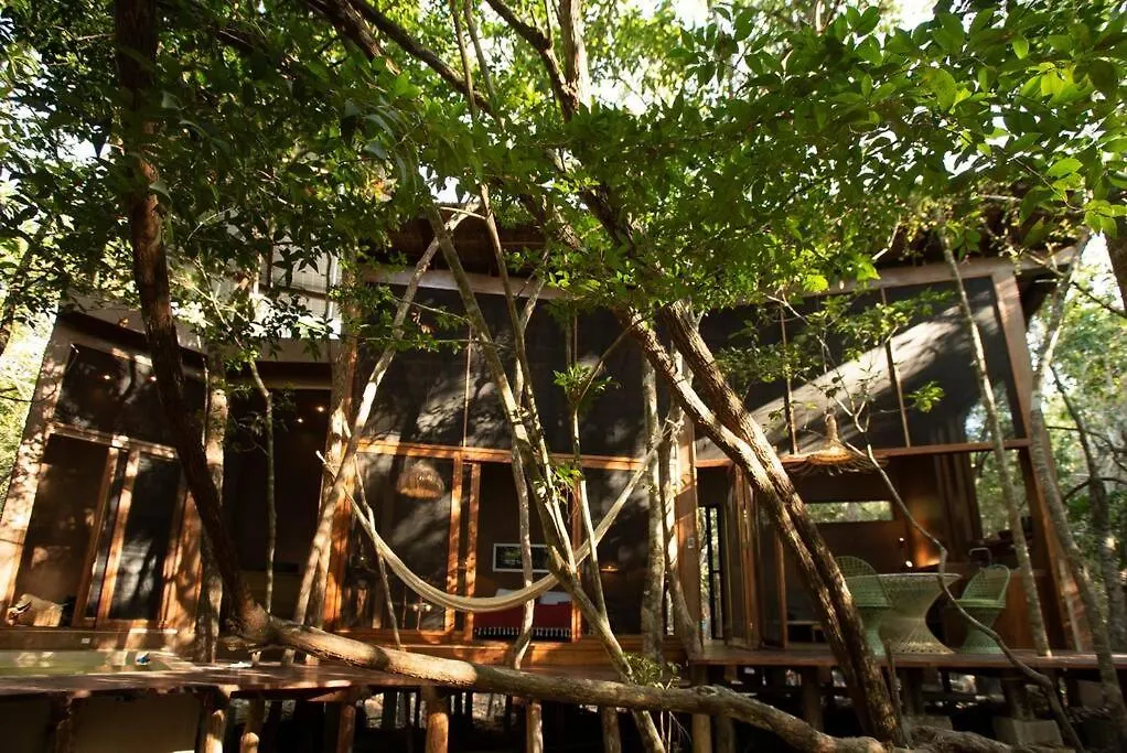 فيلة Ojo De Arbol, Boutique Cabin In The Real Jungle تولوم المكسيك