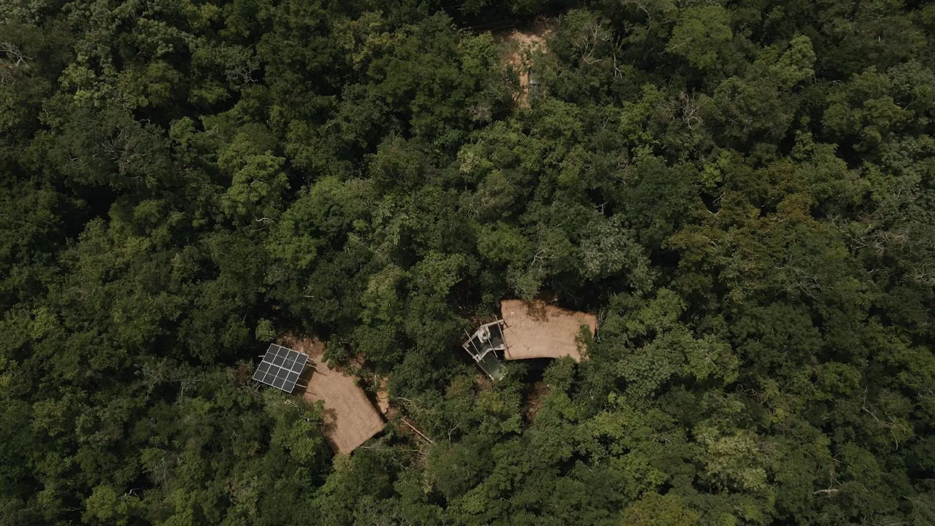 Villa Ojo De Arbol, Boutique Cabin In The Real Jungle Tulum