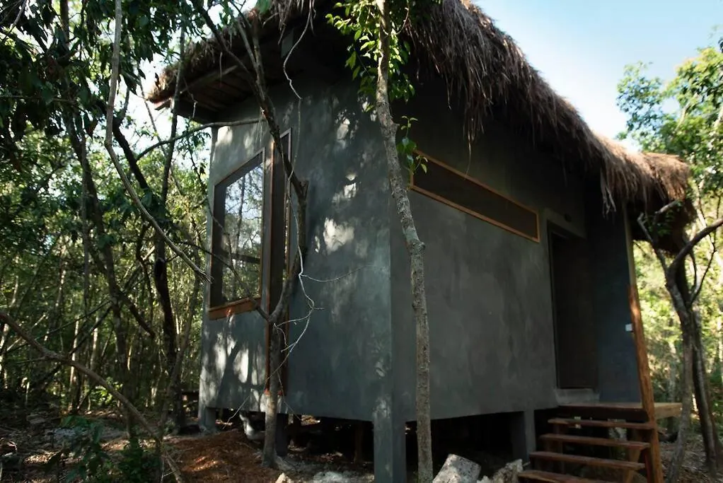 Ojo De Arbol, Boutique Cabin In The Real Jungle Tulum