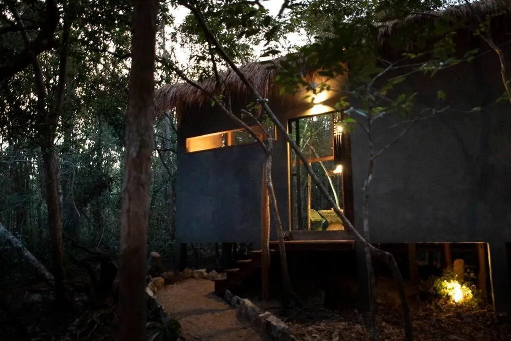Ojo De Arbol, Boutique Cabin In The Real Jungle Tulum 0*,  Mexico